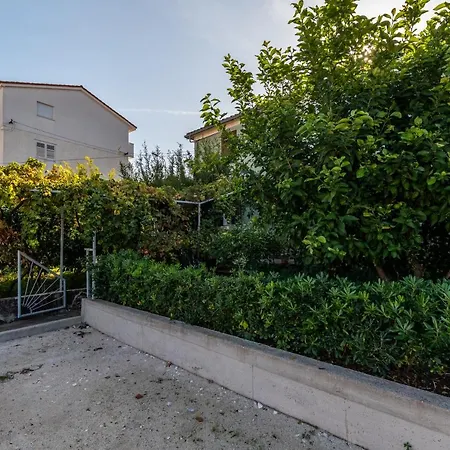 Feme トロギール