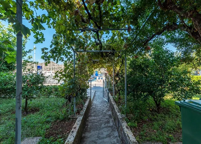 Feme Casa de hóspedes 3*